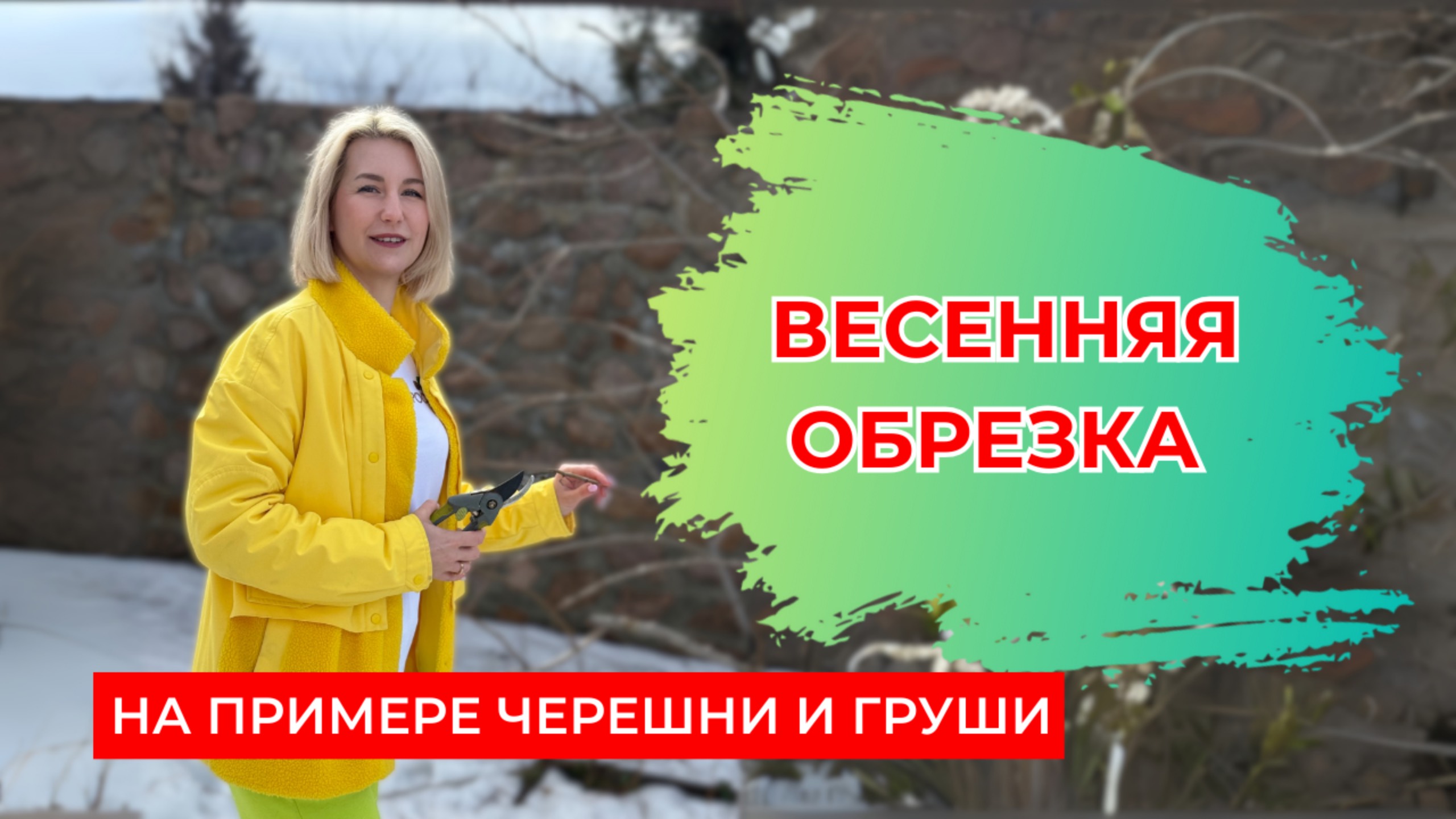 Весенняя обрезка деревьев | открываем дачный сезон