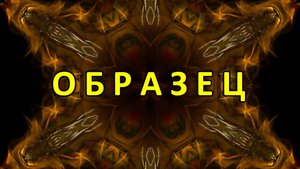 Образец — Цветомузыка, Виджеинг (FHD 60 FPS) №8