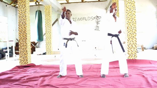 Flamingo Shotokan Karate - White Belt To Orange Belt (Part 1) смотреть онлайн