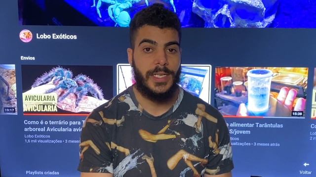 Qual a melhor aranha/tarantula para iniciantes смотреть онлайн