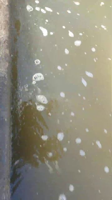 Воробьева Горы  Москва река Искупнись и растворись