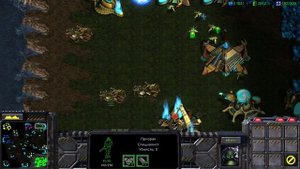 Starcraft Стычка терран против 7 Случайных на карте The Hunters Gold