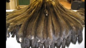 FurOnline Покупка Меха на аукционе