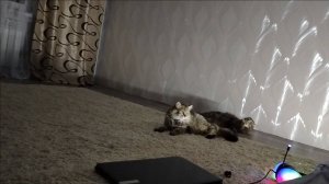 ПРОСТАЯ ЖИЗНЬ 45// ЗАБОЛЕЛА СВЕКРОВЬ /СРОЧНАЯ ПОЕЗДКА В КАТАЙСК//БОЛДЕЕМ НА 2 ЭТАЖЕ\\