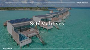 Вебинар с отелем SO/ Maldives 5*