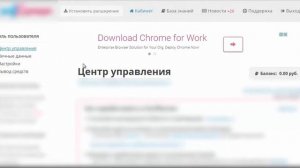 1000 руб в день на пассиве