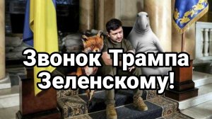 Звонок ТРАМПА ЗЕЛЕНСКОМУ "ОТДАШЬ ПОСЛЕДНИЕ трусы "