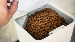 Hard Reset Xiaomi Mi Smart Pet Food Feeder