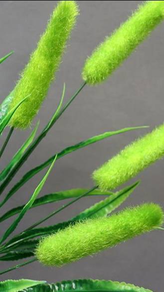 Колоски своими руками из синельной проволоки