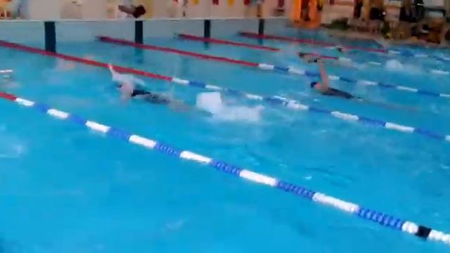 Cynthia van Veen - Vijfkamp 1/2/2015 50m rugcrawl смотреть онлайн