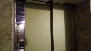 Лифт СитиЛифт вне обычном стиле 2018 года ТК Круиз (г.Гусь-Хрустальный)