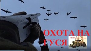 Охота на гуся, белолобый прет (Минск)