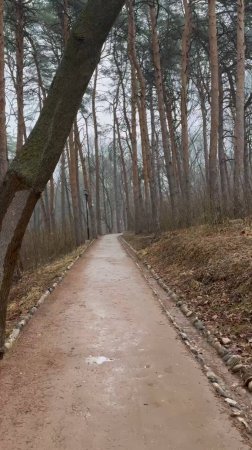 В Кисловодском парке идёт мокрый снег. Как мне гуляется?