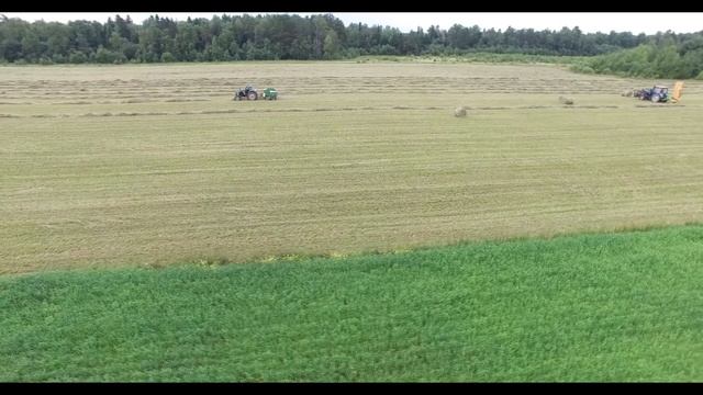 Заготовка Сена. деревня Данилково смотреть онлайн