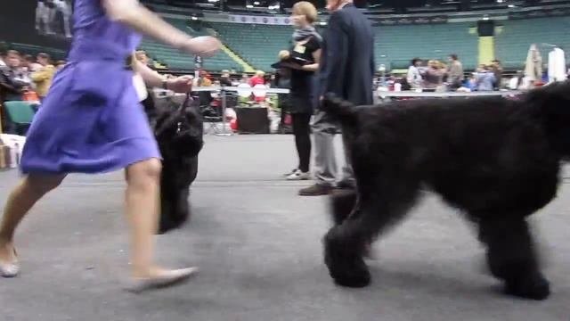 MVI3912 - выбор ЛС Москворечье Жемчужина России, БсБ Хозяйка Озера Разлив смотреть онлайн