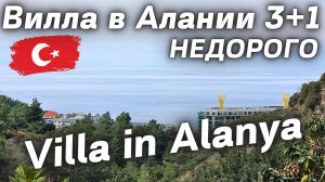 Вилла таунхаус 4 комнаты в лесу. ВИДОВАЯ вилла в Алании Турция  Вилла под ключ