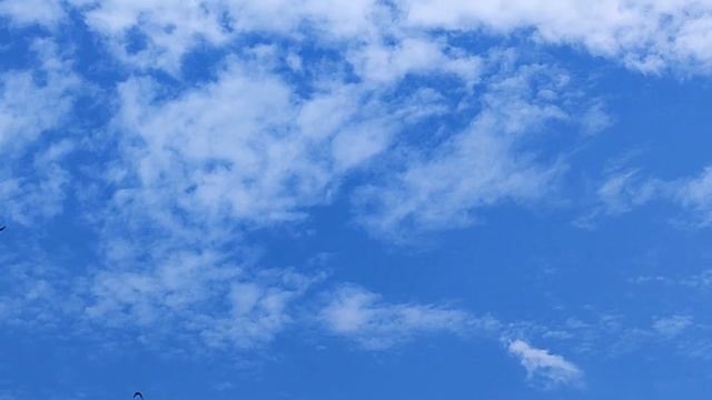 28.07.2024г Лениноканцы Сергея г. Коломна Московская область смотреть онлайн