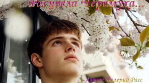 Расцвела Черёмуха...
