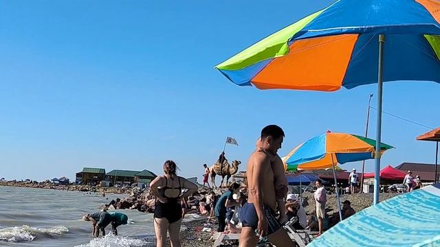 VLOG.АЛАКОЛЬ 2023 ПЛЯЖ,ВЕРБЛЮД ...ЭТО ВСЕ АЛАКОЛЬ