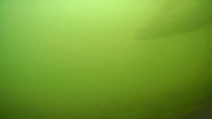 РЫБАЛКА НА ШУШПАНСКОМ ВДХ