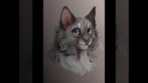 история жизни Голубки/коты воители