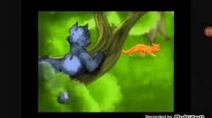 Синяя звезда и Жёлудь