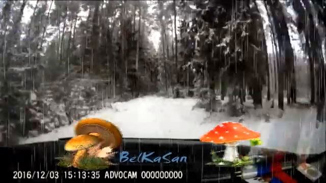 Прощай, холодная душа! Зимняя сказка. Песня.