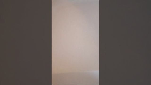 Видео Брусника