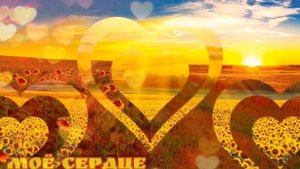 СЕРДЦЕ ❤️ Сплин