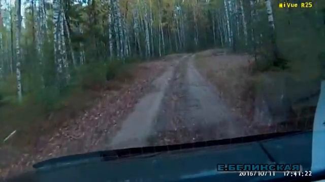 Я   Герой из дивной сказки.  Песня