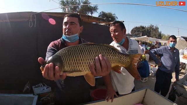 БАЛИК  БОЗОР НАРХЛАРИ 2021 г. смотреть онлайн