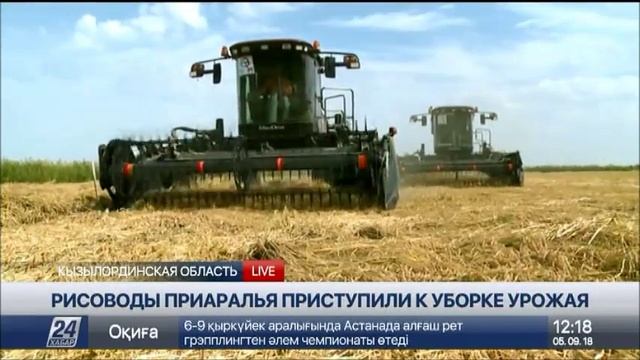 Рисоводы Приаралья приступили к уборке урожая смотреть онлайн