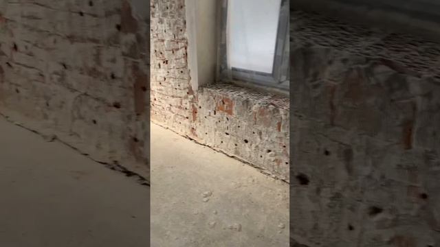 Приёмка штукатурки. Борьба с грибком.