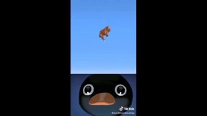 Pingu Meme Compilation Noot Noot