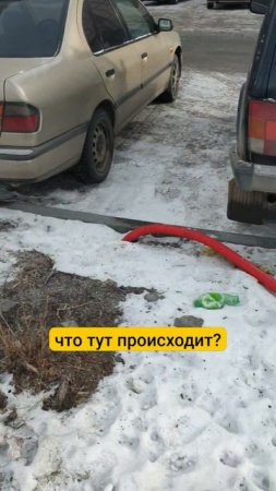Рубрика "Странные штуковины"