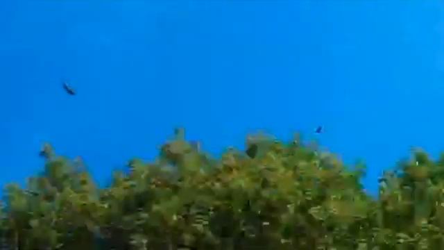 god her rich wan der ring left atel mira high way home less  SD 480p