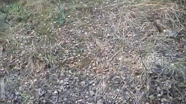 шуваловский карьер собираюсь ехать домой через дорогу каменку смотреть онлайн