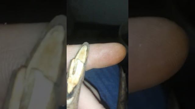 Франкет, тоже опыт.. смотреть онлайн