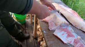 Снимаю филе с огромной щуки, чтобы сделать фарш. Рыбалка в Сибири