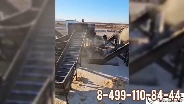 Кормление 25 тысяч голов КРС! CELIKEL поможет!