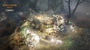 Combat Showcase for Askeia, With Martial Spirit in Her Fists|Black Desert Mobile