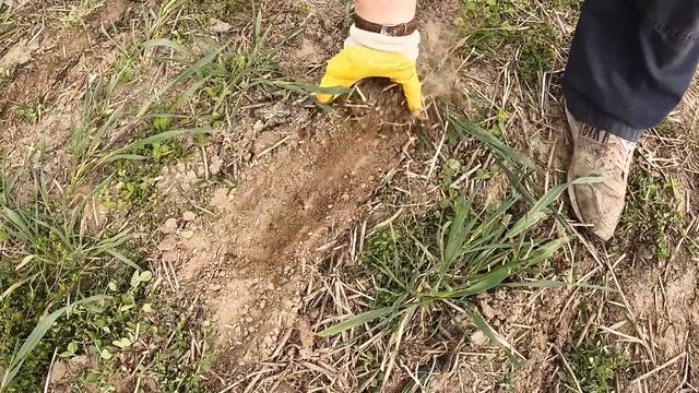 Vlog 139 Funktioniert Direktsaat mit der EDX? Sortenversuch Mais anlegen