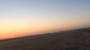 Урожайность рапса позднего срока посева