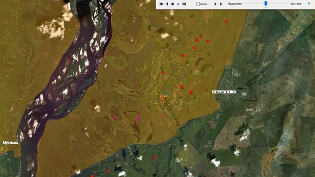 Передвижение птенцов дальневосточного аиста в Березовском заказнике по данным GPS-трекеров смотреть онлайн