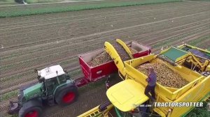 Уборка картофеля!!!!Германия-Польша