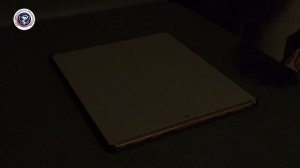 РЕЦИДИВ ОПУХОЛЕВОГО ОБРАЗОВАНИЯ (ГЕМАНГИОМЫ) У КОШКИ