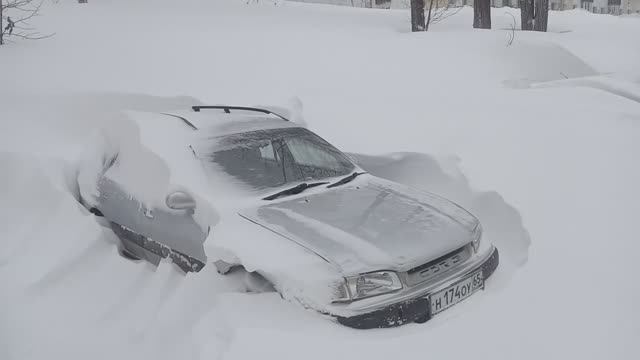 Мощная метель в марте, 14 марта 2025 года, Сахалин смотреть онлайн