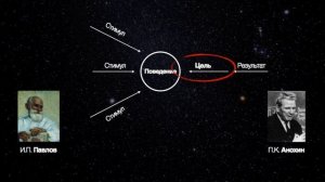 Будьте честными — будьте здоровыми | Дмитрий Шаменков | TEDxSadovoeRing