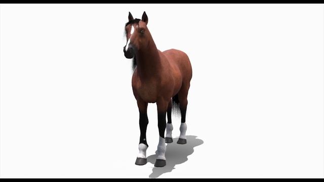 Realistic Horse 3D Models for Download