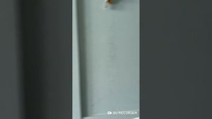 Посуточная аренда квартир Новороссийск